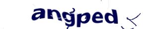 Captcha challenge image